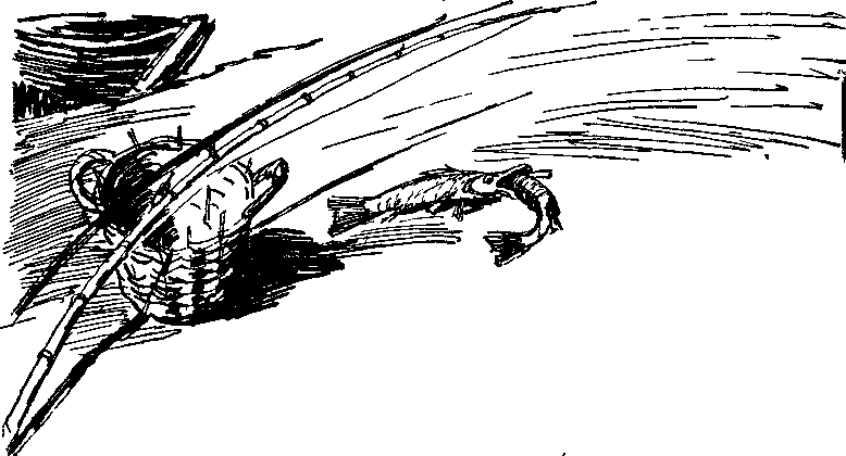 Пора забот - i_006.png