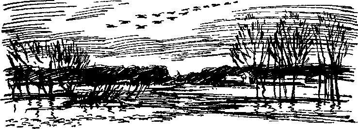 Утро года - i_003.png