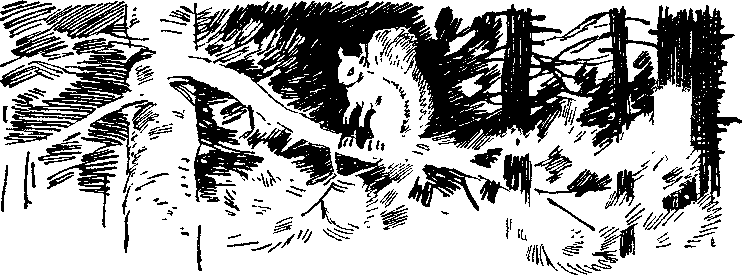 Утро года - i_004.png