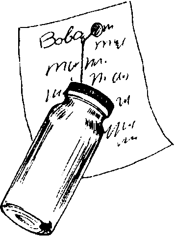 Лягушка на стене - img_31.png