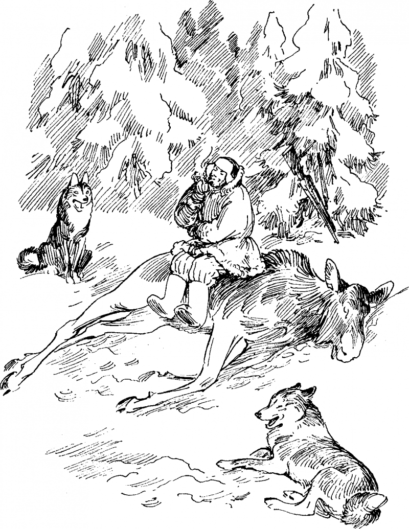 Лягушка на стене - img_97.png