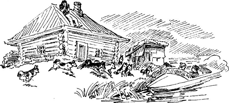 Лягушка на стене - img_104.png