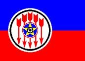 Терроризм и террористы. Справочник - flagofRENAMO.jpg