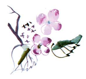 Байкала-озера сказки Том I  разд.2 - i_072.png