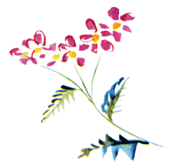 Байкала-озера сказки Том I  разд.2 - i_083.png