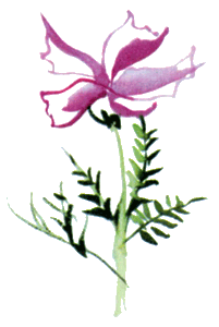 Байкала-озера сказки Том I  разд.2 - i_092.png