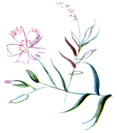 Байкала-озера сказки Том I  разд.3 - i_019.png