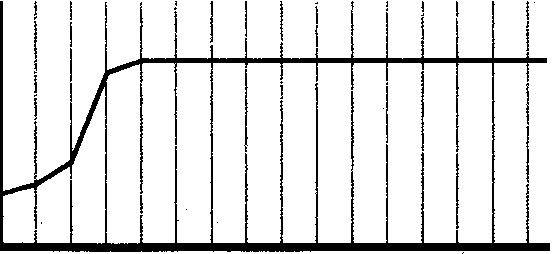 Загадочное ночное убийство собаки - pic_18.png