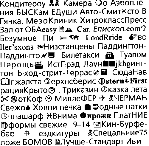 Загадочное ночное убийство собаки - pic_38.png