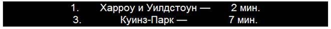 Загадочное ночное убийство собаки - pic_42.jpg
