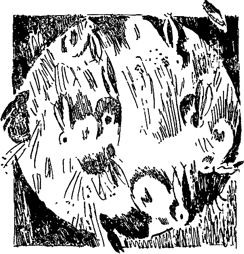 В мире фантастики и приключений. Тайна всех тайн - i_005.png