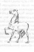 Том 10. Вечера княжны Джавахи. Записки маленькой гимназистки - pic_33.jpg