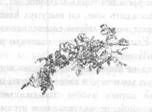 Том 10. Вечера княжны Джавахи. Записки маленькой гимназистки - pic_37.jpg