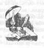 Том 10. Вечера княжны Джавахи. Записки маленькой гимназистки - pic_48.jpg