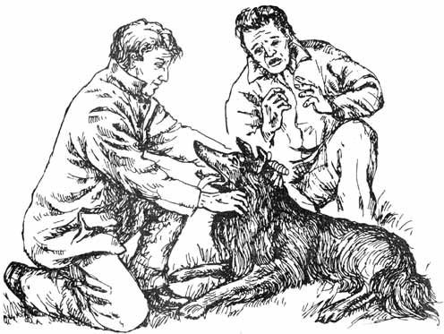 Собачьи истории - doc2fb_image_02000019.jpg