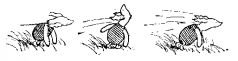 The house at Pooh Corner - pic8.jpg