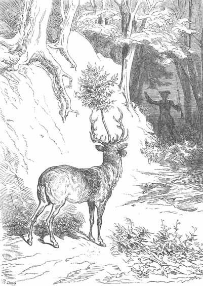 Aventures Et Mesaventures Du Baron De Munchhausen (illustre) - pic_13.jpg