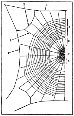 Первопоселенцы суши - i_009.png