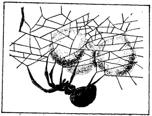 Первопоселенцы суши - i_025.png