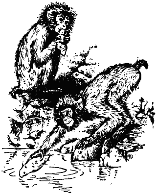 Причуды природы - i_007.png