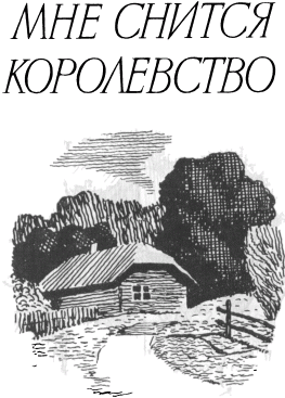 Мне снится королевство - img_08.png