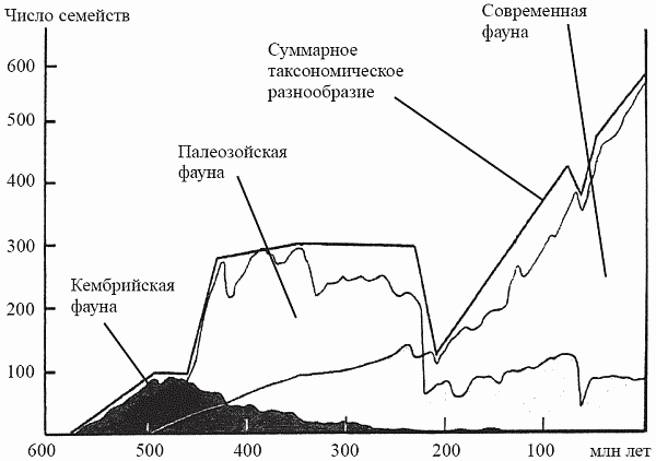 Удивительная палеонтология. История земли и жизни на ней - i_030.png