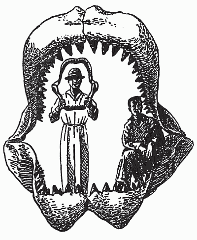 Удивительная палеонтология. История земли и жизни на ней - i_035.png