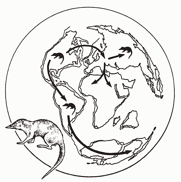Удивительная палеонтология. История земли и жизни на ней - i_072.png