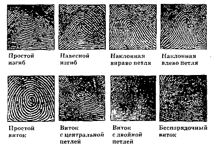 Детективные загадки – разгадай сам - i_004.png