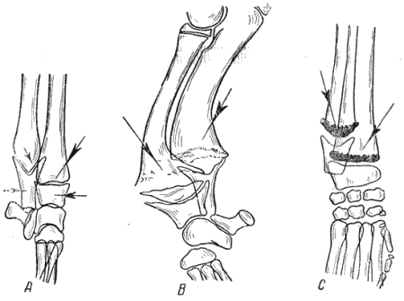 Болезни собак  - i_030.png