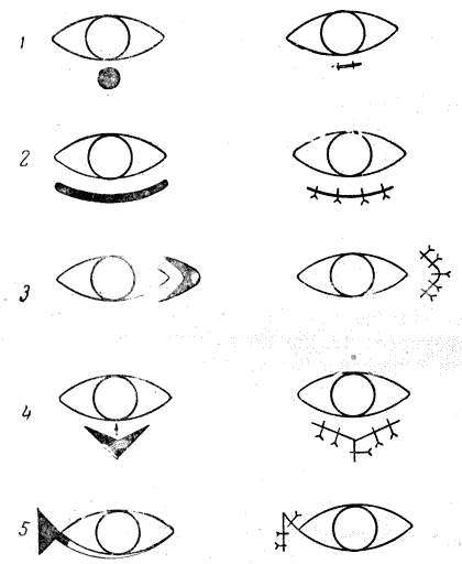 Болезни собак - i_077.png