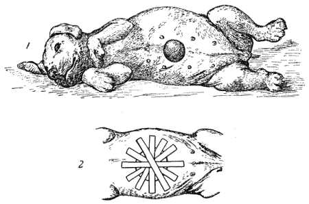 Болезни собак - i_096.png
