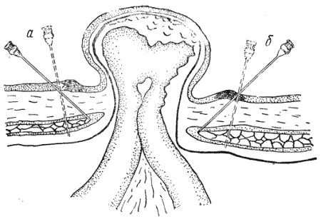 Болезни собак - i_098.png