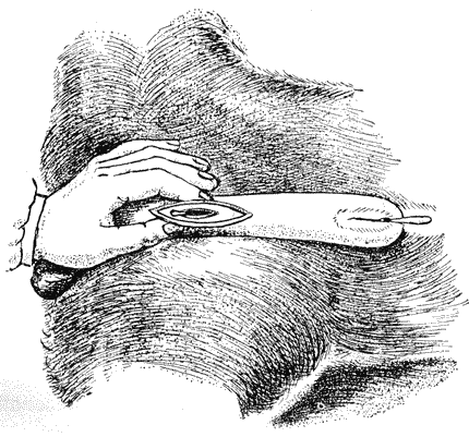 Болезни собак - i_106.png