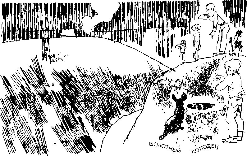 Дневник Толи Скворцова, путешественника и рыболова - i_007.png