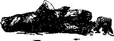 Аойя - rsl01002921844__040.png