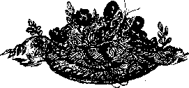 Аойя - rsl01002921844__055.png