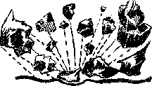 Аойя - rsl01002921844__070.png