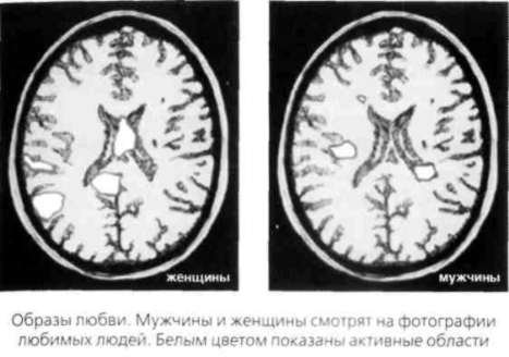 Почему мужчины хотят секса, а женщины любви - new5.jpg