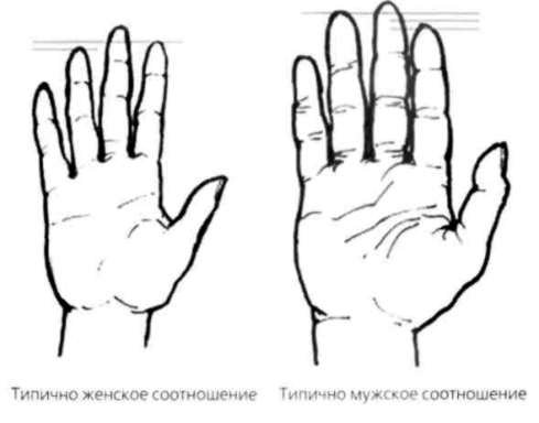 Почему мужчины хотят секса, а женщины любви - new28.jpg