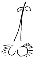 Кот (сборник) - i_004.png