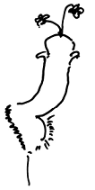 Кот (сборник) - i_009.png