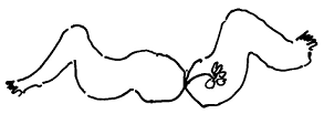 Кот (сборник) - i_017.png