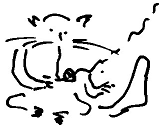 Кот (сборник) - i_055.png