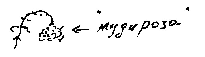 Кот (сборник) - i_083.png