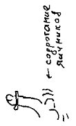 Кот (сборник) - i_093.png