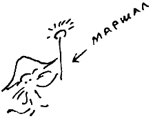 Кот (сборник) - i_105.png