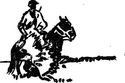 Годы, тропы, ружье - _75.jpg