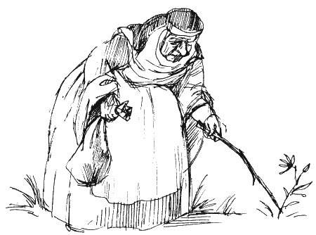 Астрель и Хранитель Леса - i_065.png