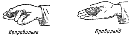Служебная собака. Руководство по подготовке специалистов служебного собаководства - i_111.png
